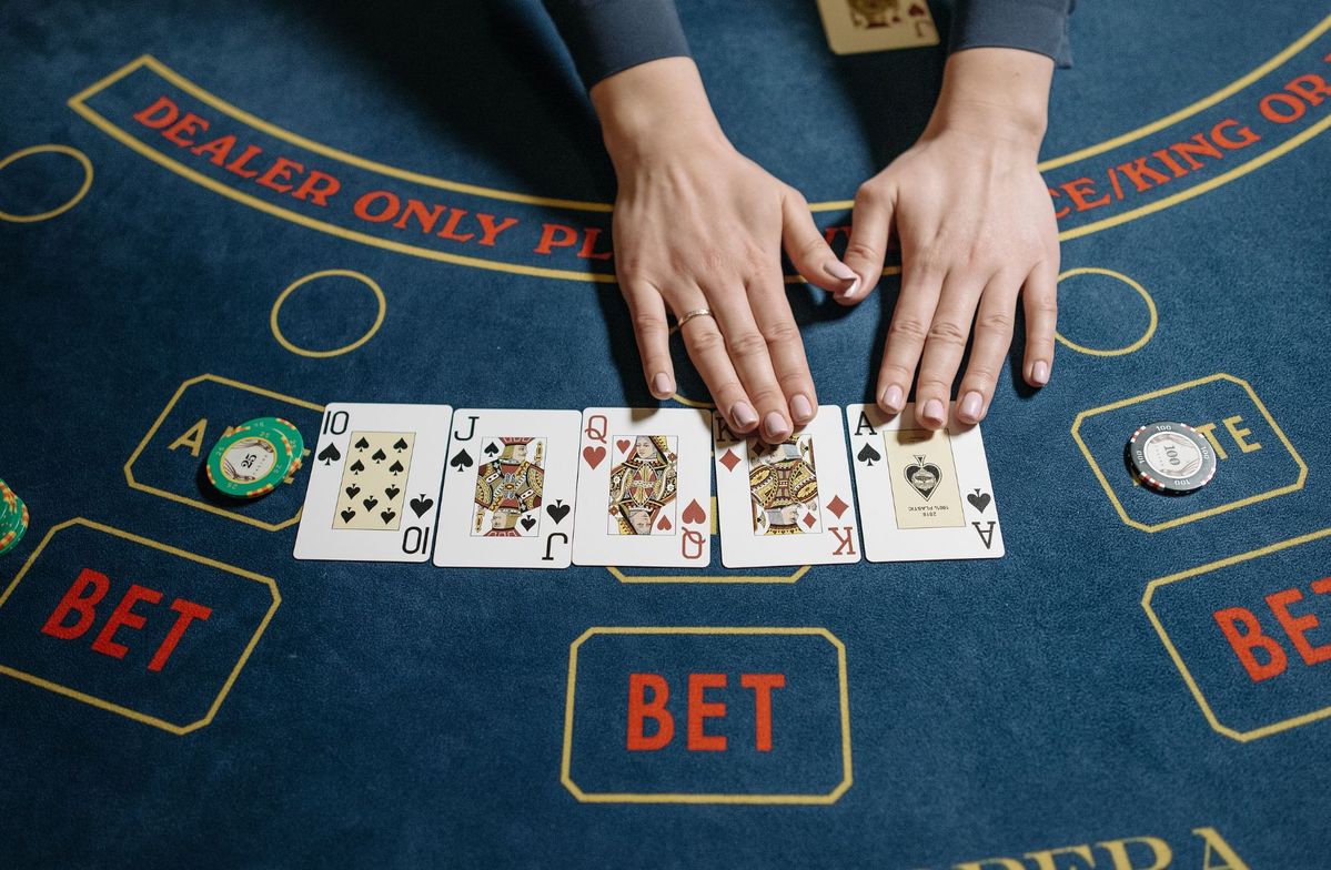 croco slots Live Betting